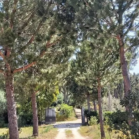 Casa Vale Nicolau